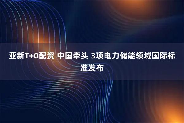 亚新T+0配资 中国牵头 3项电力储能领域国际标准发布