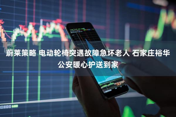 蔚莱策略 电动轮椅突遇故障急坏老人 石家庄裕华公安暖心护送到家