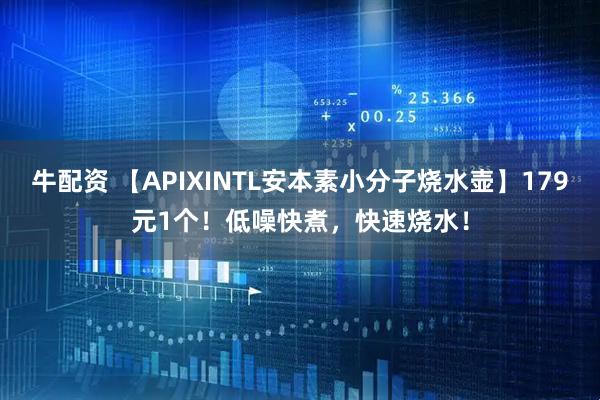 牛配资 【APIXINTL安本素小分子烧水壶】179元1个！低噪快煮，快速烧水！