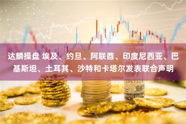 达麟操盘 埃及、约旦、阿联酋、印度尼西亚、巴基斯坦、土耳其、沙特和卡塔尔发表联合声明